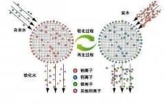 树脂软化除硬知识点